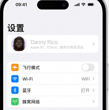 诸暨appleID维修服务iPhone设置中Apple ID显示为灰色无法使用 