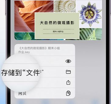 诸暨apple维修中心分享iPhone文件应用中存储和找到下载文件