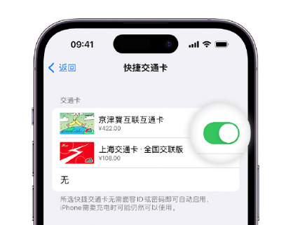 诸暨apple维修点分享iPhone上更换Apple Pay快捷交通卡手绘卡面 