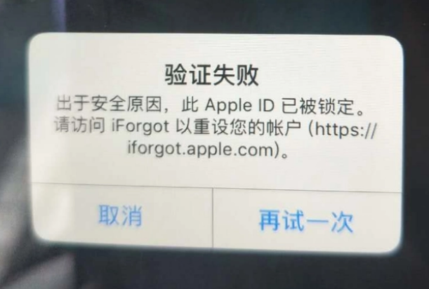 诸暨iPhone维修分享iPhone上正常登录或使用AppleID怎么办 