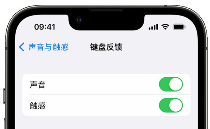 诸暨苹果手机维修分享iPhone 14触感键盘使用方法 