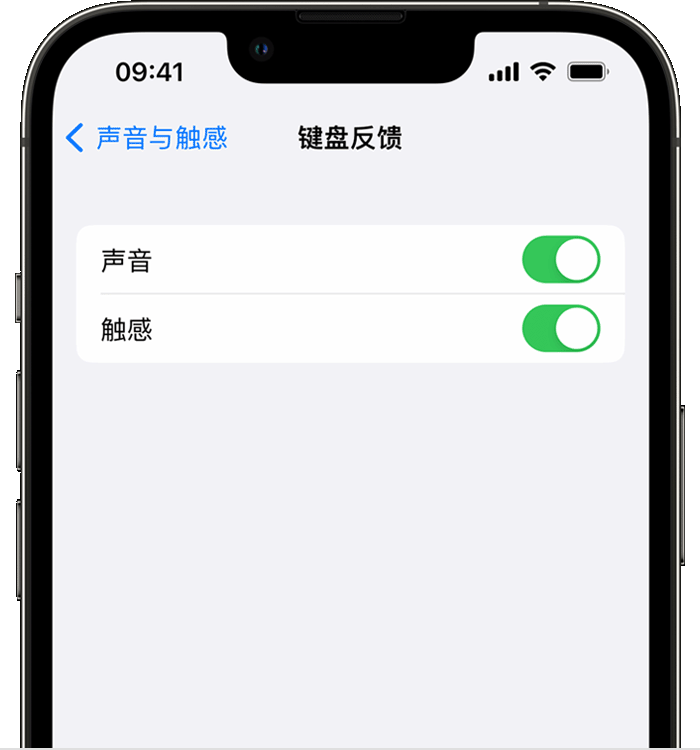 诸暨苹果14维修店分享如何在 iPhone 14 机型中使用触感键盘 