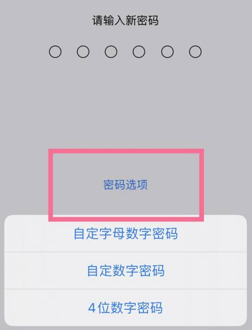 诸暨苹果14维修分享iPhone 14plus设置密码的方法 