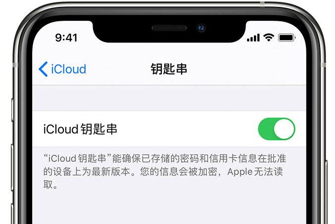 诸暨苹果手机维修分享在 iPhone 上开启 iCloud 钥匙串之后会储存哪些信息 