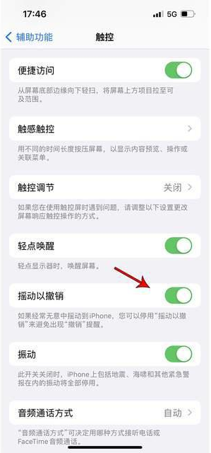 诸暨苹果手机维修分享iPhone手机如何设置摇一摇删除文字 