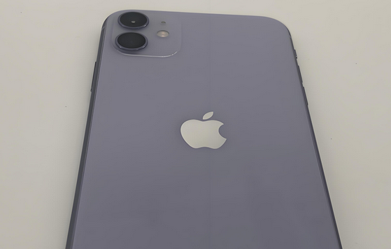 诸暨苹果11系统维修分享iPhone11手机系统崩溃无法开机如何解决 